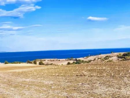 34 Hektar Villa Mit Blick Auf Das Meer Und Die Natur In Tekirdağ Barbaros!