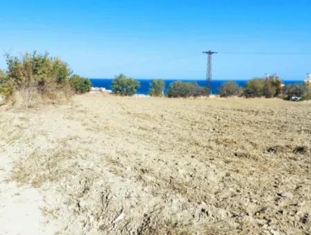 Investitionsmöglichkeit: 615 M2 Eckgrundstück Zum Verkauf In Tekirdag Barbaros - Dringender Verkauf, Meer- Und Naturblick, 0 Zonenbu Harika Konumda Ve 615 M2 Genişliğindeki Acil Satılık Köşe Arsa, Yatırımcılar Için Muazz