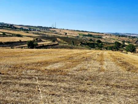 2.650 M2 Villa Zum Dringenden Verkauf In Tekirdag Barbarosta Zoned Coupon Field Geeignet Für Investitionen