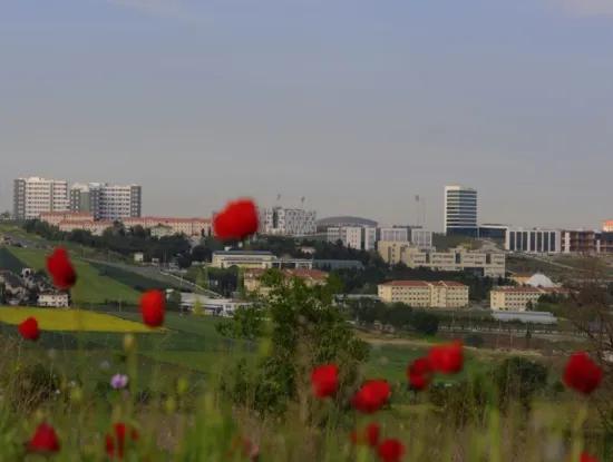 Bezirk Tekirdağ Süleymanpaşa