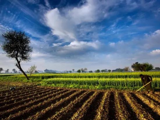 Tekirdag Suleymanpasa Banarli Mahallesi