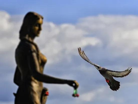 Tekirdağ Süleymanpaşa District