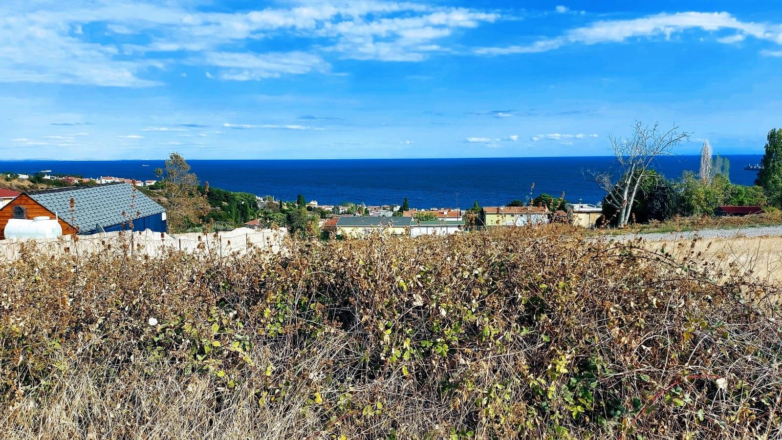 Triplexs Land Is A Great Opportunity For Those Who Want To Build A Detached House With Small Capital