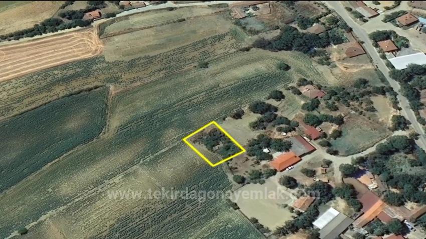 Urgent Sale: Unmissable Opportunity For Those Dreaming Of A Village House - Bargain Plot Of Land