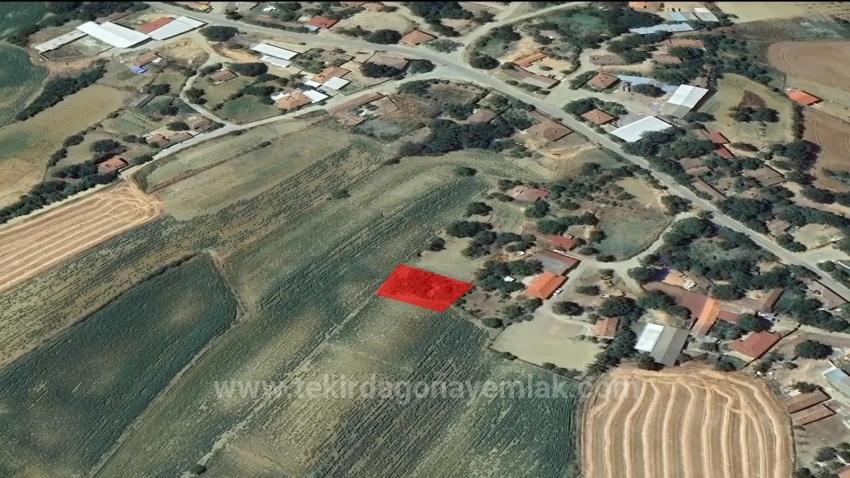 Urgent Sale: Unmissable Opportunity For Those Dreaming Of A Village House - Bargain Plot Of Land