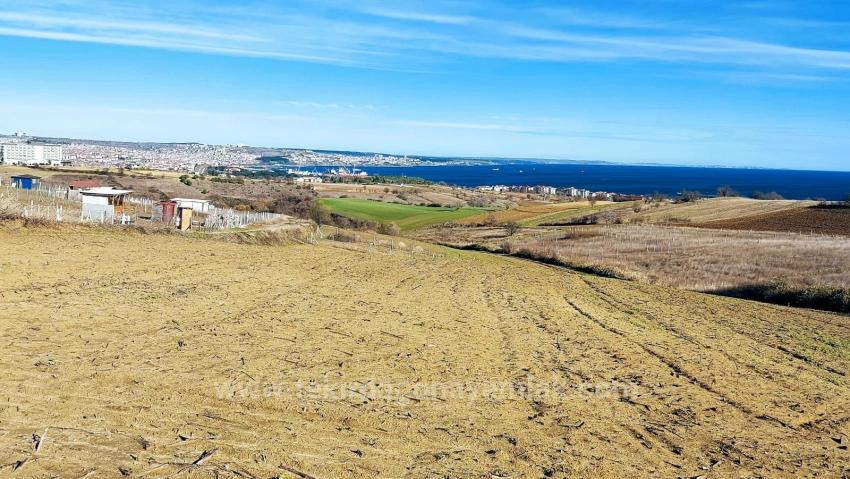 Bargain Plot Of Land With Full Sea, Nature And City Views, Zoned For 20% Two-Story Construction.