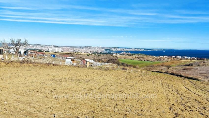 Bargain Plot Of Land With Full Sea, Nature And City Views, Zoned For 20% Two-Story Construction.