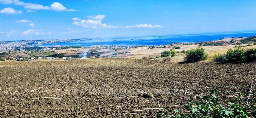 Land For Sale in Barbaros Nbh. Süleymanpaşa Kumbağ - Villa Zoned - 405 m²