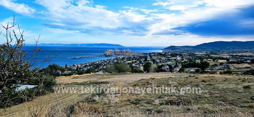 Land For sale in Barbaros Nbh. Süleymanpaşa Kumbağ - Housing Zoned - 528 m²