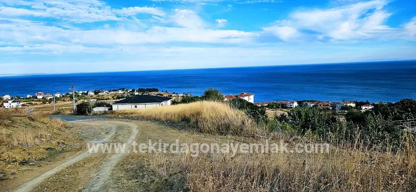 Land For sale in Barbaros Nbh. Süleymanpaşa Kumbağ - Housing Zoned - 528 m²