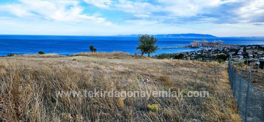 Land For sale in Barbaros Nbh. Süleymanpaşa Kumbağ - Housing Zoned - 528 m²