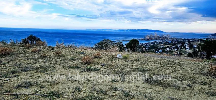 Land For sale in Barbaros Nbh. Süleymanpaşa Kumbağ - Housing Zoned - 528 m²