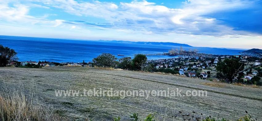 Land For sale in Barbaros Nbh. Süleymanpaşa Kumbağ - Housing Zoned - 528 m²