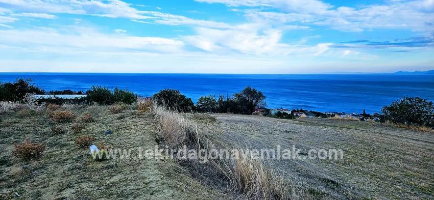 Land For sale in Barbaros Nbh. Süleymanpaşa Kumbağ - Housing Zoned - 528 m²