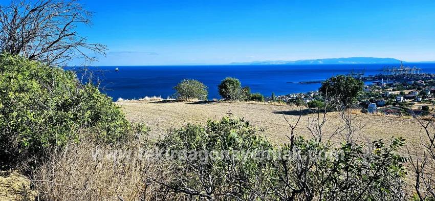 Land For sale in Barbaros Nbh. Süleymanpaşa Kumbağ - Housing Zoned - 2.780 m²