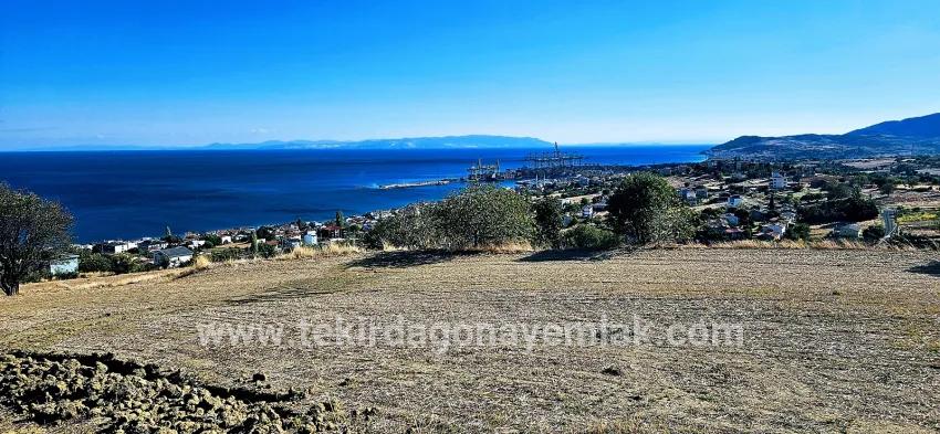 Land For sale in Barbaros Nbh. Süleymanpaşa Kumbağ - Housing Zoned - 2.780 m²