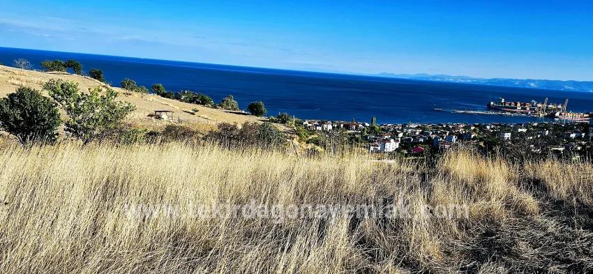 Land For sale in Barbaros Nbh. Süleymanpaşa Kumbağ - Housing Zoned - 530 m²