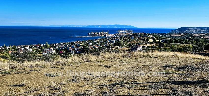 Land For sale in Barbaros Nbh. Süleymanpaşa Kumbağ - Housing Zoned - 530 m²