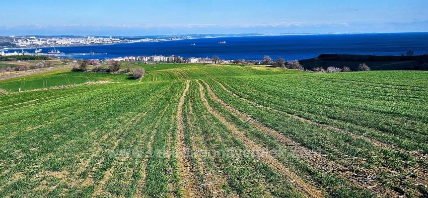 Land With Full Sea And Nature View Suitable For 75 Villa Projects In Tekirdağ Barbarosta