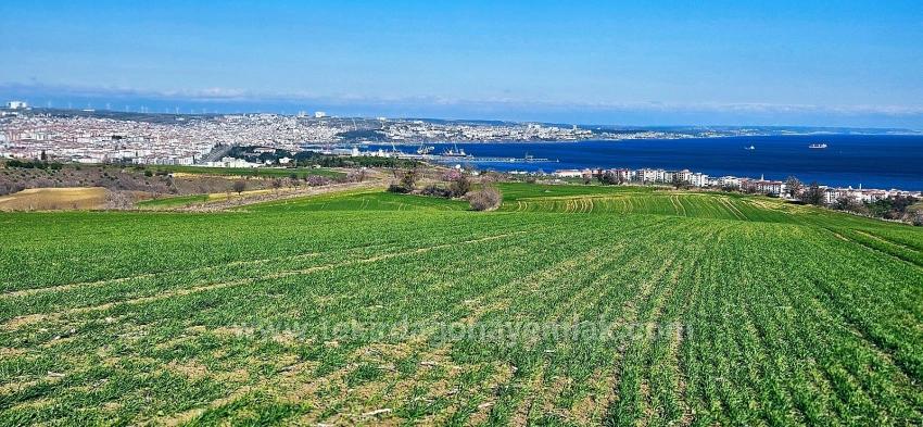 Land With Full Sea And Nature View Suitable For 75 Villa Projects In Tekirdağ Barbarosta