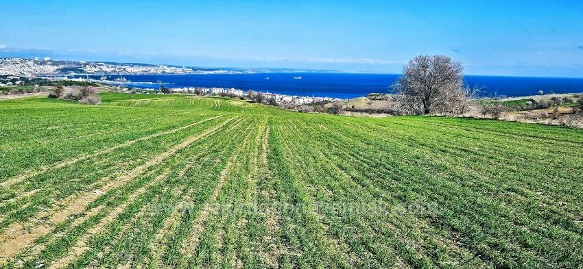 Terrain For sale in Barbaros Nbh. Süleymanpaşa Kumbağ - Housing Zoned - 19.533 m²