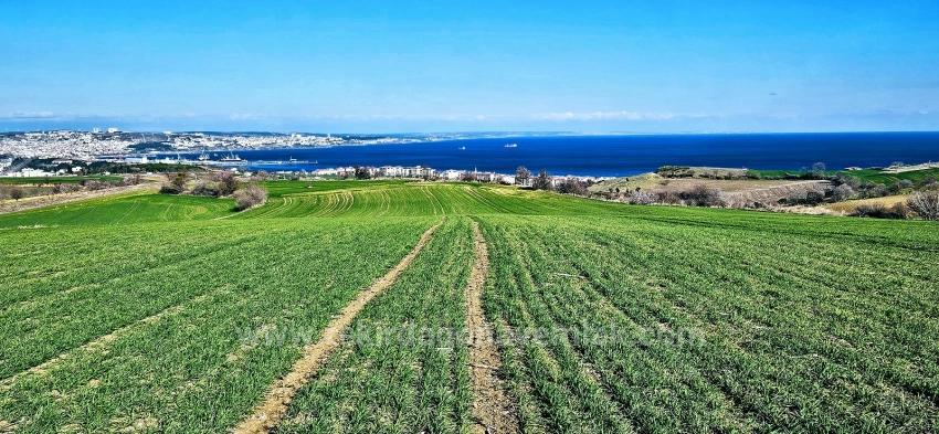 Land With Full Sea And Nature View Suitable For 75 Villa Projects In Tekirdağ Barbarosta