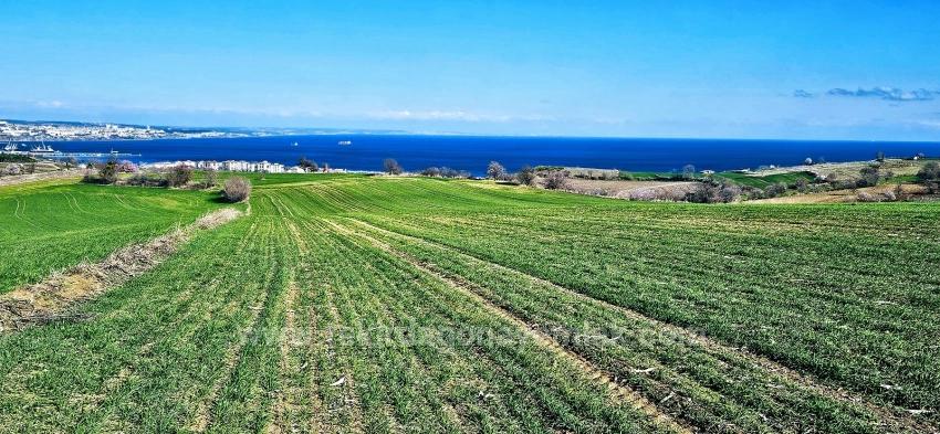 Land With Full Sea And Nature View Suitable For 75 Villa Projects In Tekirdağ Barbarosta