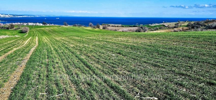 Land With Full Sea And Nature View Suitable For 75 Villa Projects In Tekirdağ Barbarosta