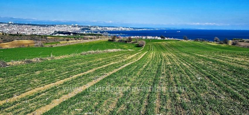 Land With Full Sea And Nature View Suitable For 75 Villa Projects In Tekirdağ Barbarosta