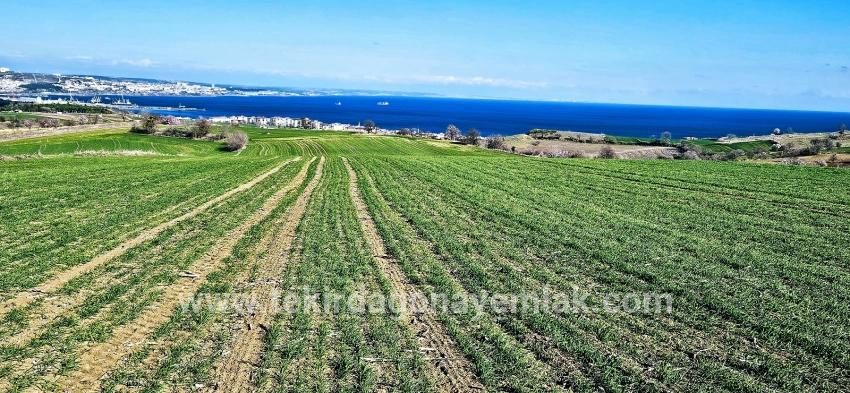 Terrain For sale in Barbaros Nbh. Süleymanpaşa Kumbağ - Housing Zoned - 19.533 m²