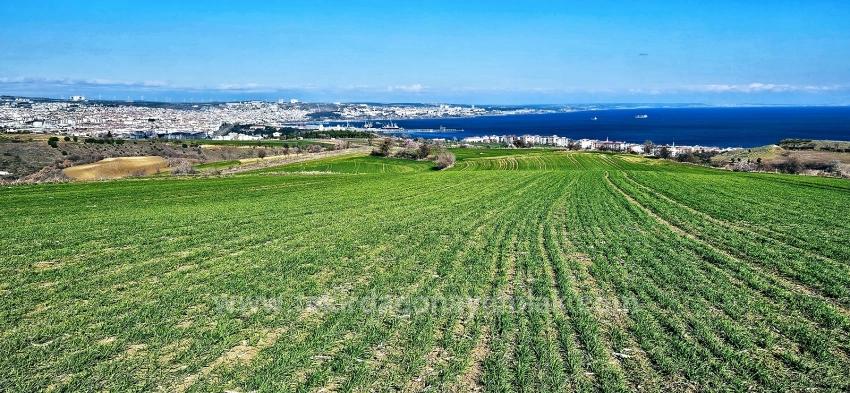 Land With Full Sea And Nature View Suitable For 75 Villa Projects In Tekirdağ Barbarosta