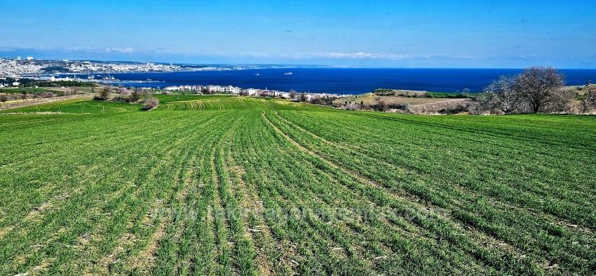 Land With Full Sea And Nature View Suitable For 75 Villa Projects In Tekirdağ Barbarosta