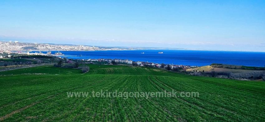 Land With Full Sea And Nature View Suitable For 75 Villa Projects In Tekirdağ Barbarosta