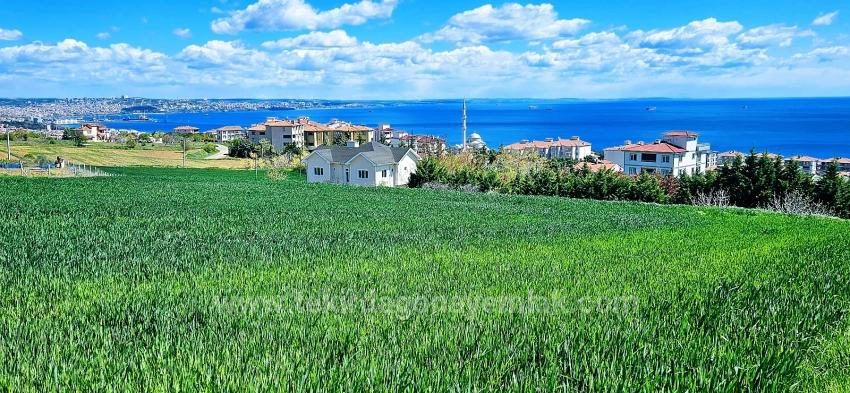 Possibility To Build 44 2+1 Flats With Full Sea View, Suitable For Cooperative And Site Construction