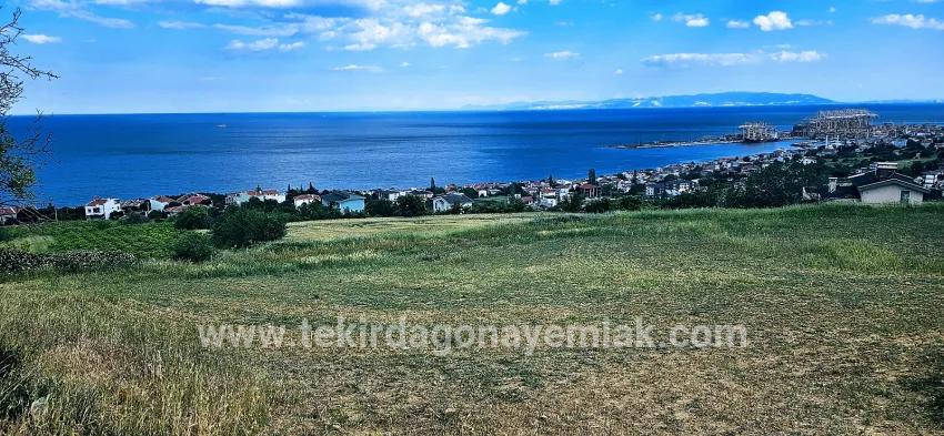 Terrain For sale in Barbaros Nbh. Süleymanpaşa Kumbağ - Housing Zoned - 6.100 m²