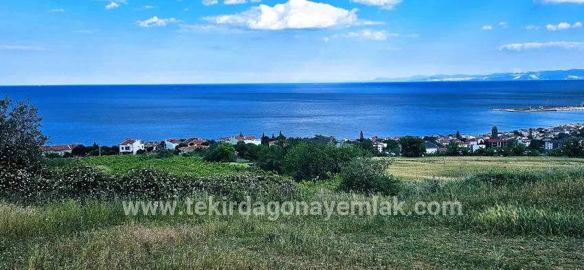 Terrain For sale in Barbaros Nbh. Süleymanpaşa Kumbağ - Housing Zoned - 6.100 m²