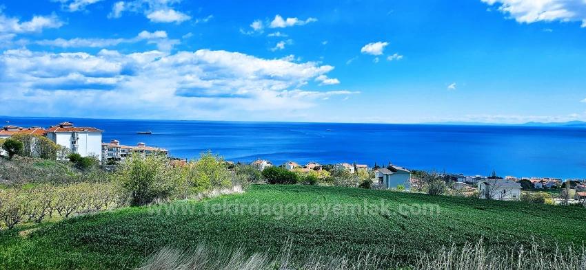 15 Luxury Villas With Unique Full Sea And Nature Views, Located In A Suitable Area For The Project