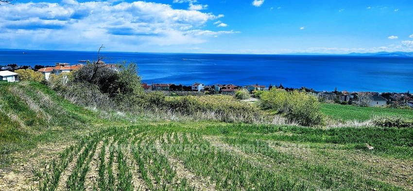 15 Luxury Villas With Unique Full Sea And Nature Views, Located In A Suitable Area For The Project