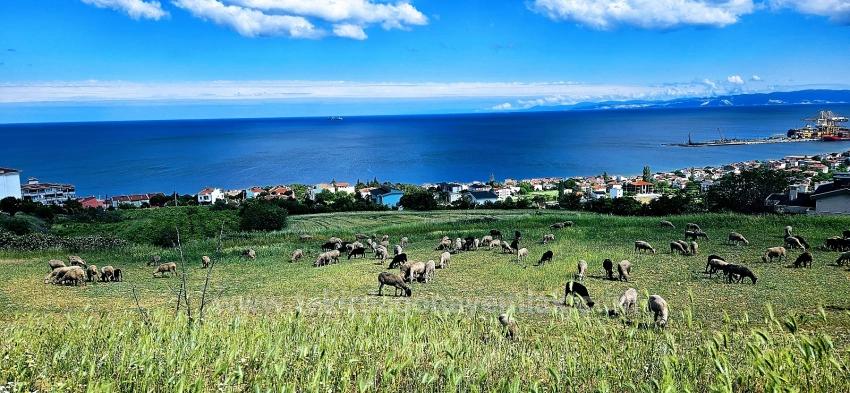 45 2+1 Apartments With Unique Full Sea And Nature Views, Suitable For Cooperative Projects