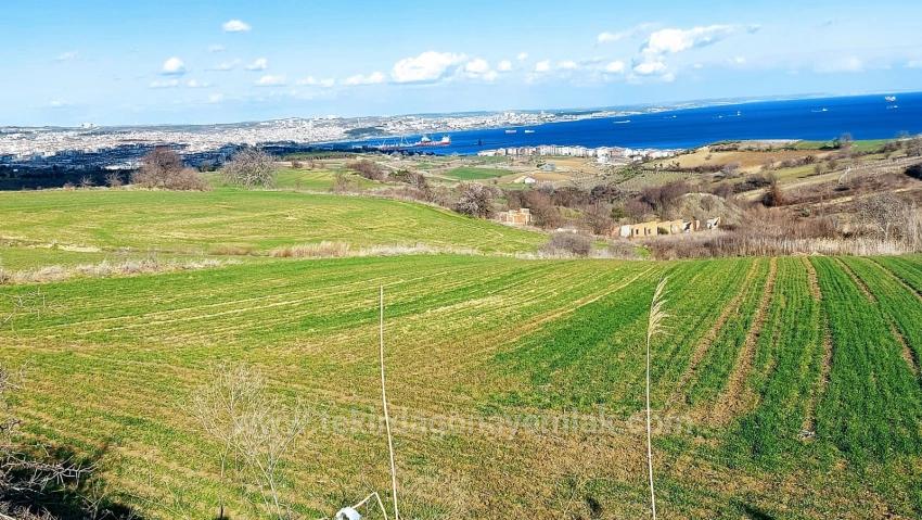 Land Suitable For 8 Villa Projects With Full Sea And Nature Views In Tekirdağ Barbarosta