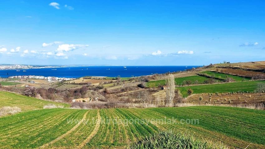 Land Suitable For 8 Villa Projects With Full Sea And Nature Views In Tekirdağ Barbarosta