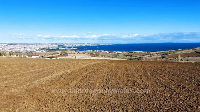 Land For Urgent Sale Suitable For 12 Villa Projects With Magnificent Sea And Nature Views