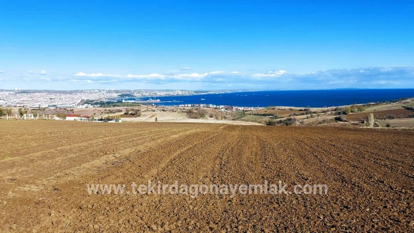 Terrain For sale in Barbaros Nbh. Süleymanpaşa Kumbağ - Villa Zoned - 6.350 m²