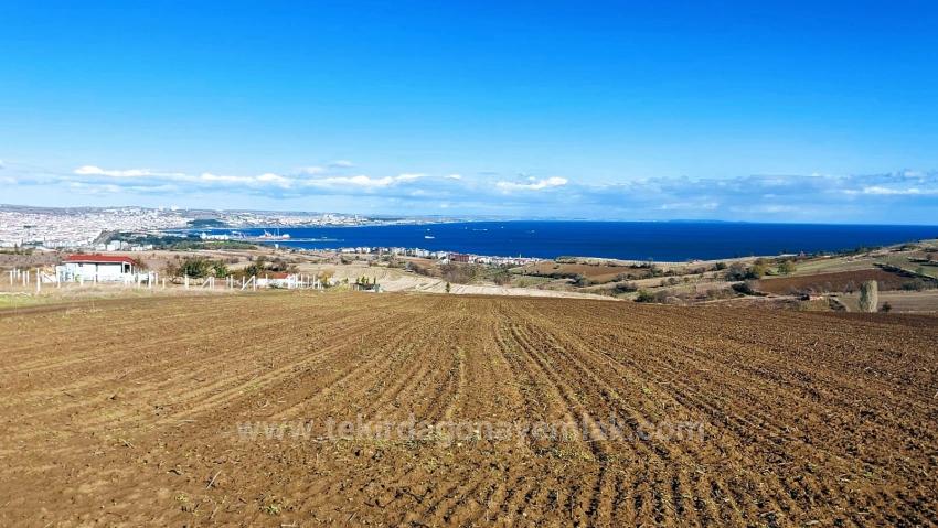 Land For Urgent Sale Suitable For 12 Villa Projects With Magnificent Sea And Nature Views