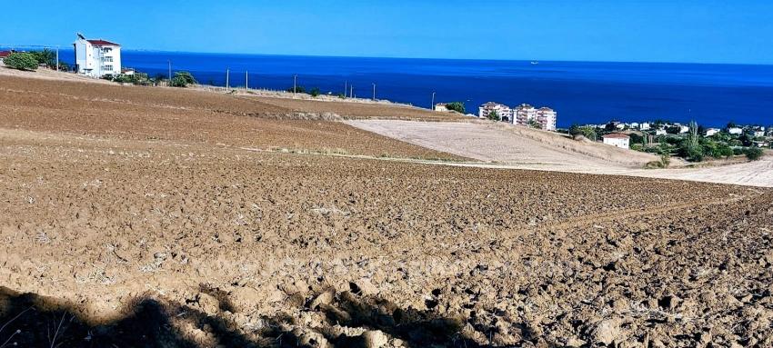Land Suitable For A Cooperative And Residential Complex Project With 50 Apartments And Full Sea And Nature Views.