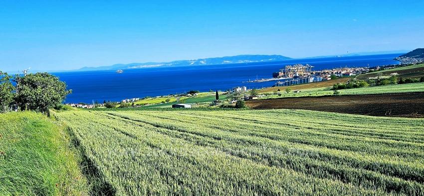 Land Suitable For Cooperative And Site Projects With 50 Apartments And Full Sea And Nature Views