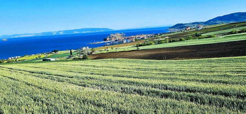 Land Suitable For Cooperative And Site Projects With 50 Apartments And Full Sea And Nature Views