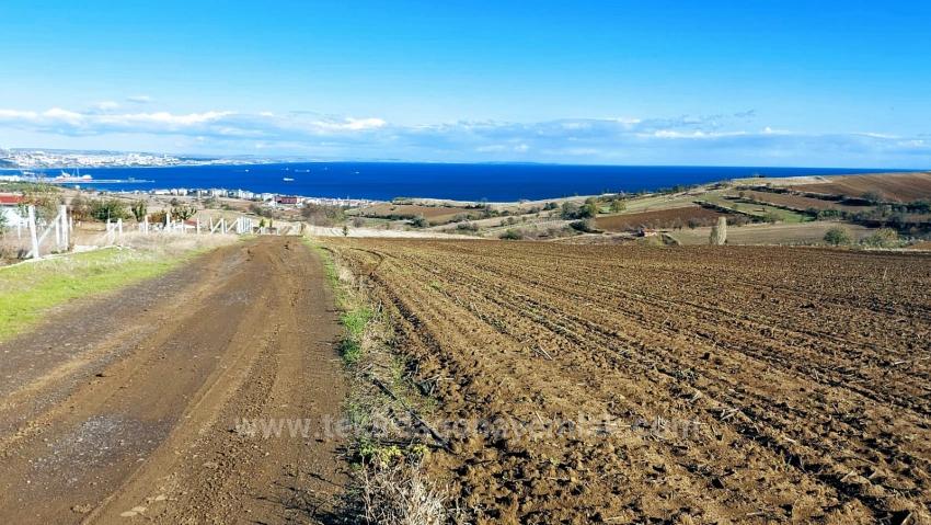 Apply Emergency Hourly Luxury Villa Project, Provide High Earnings, Completely Full Sea And Nature View