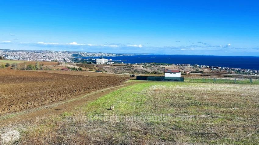 32 Luxury Villas With Great Sea, Nature And City Views, Opportunity Land Suitable For The Project