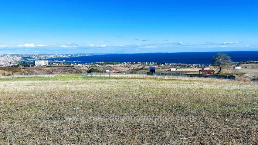 Terrain For Sale in Barbaros Nbh. Süleymanpaşa Kumbağ - Housing Zoned - 15.500 m²